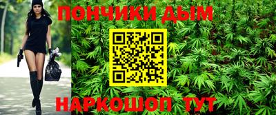 прущие грибы Будённовск