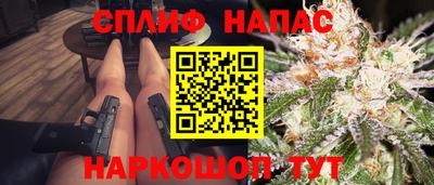 прущие грибы Будённовск