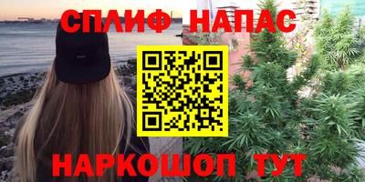 прущие грибы Будённовск