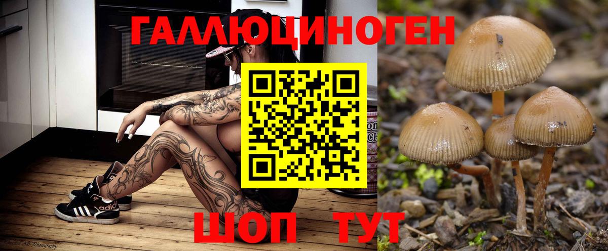 купить закладку  Псилоцибиновые грибы ЛСД  Вход с VPN  Нарьян-Мар 